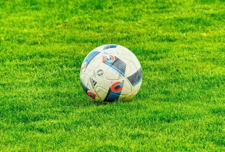 Profi Cup 2022