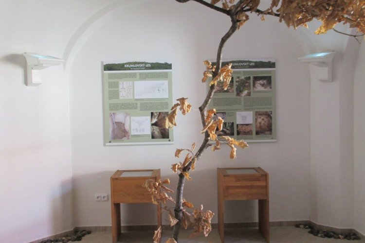 30.9.2023 Archeologická vycházka do Krumlovského lesa - těžba kamene rohovce